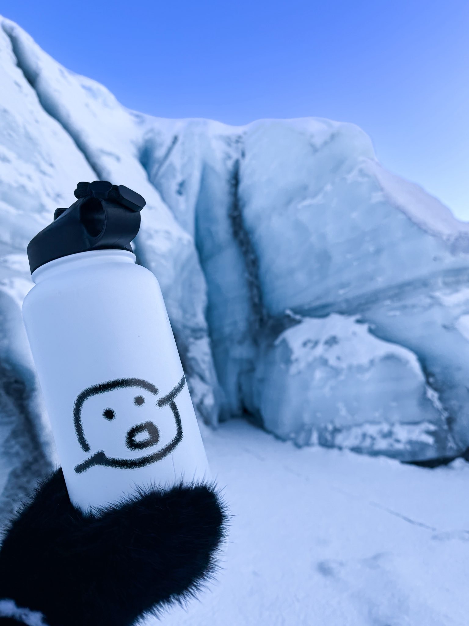 Recovered signal file 04 — Goblin bottle or mug in the wild
